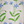 Load image into Gallery viewer, Tea Towel - Bluebell Flowers, Australian printed tea towels
