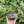 Load image into Gallery viewer, Enamelware Steel Hand Painted Folk Art Bowl - Grey Flower
